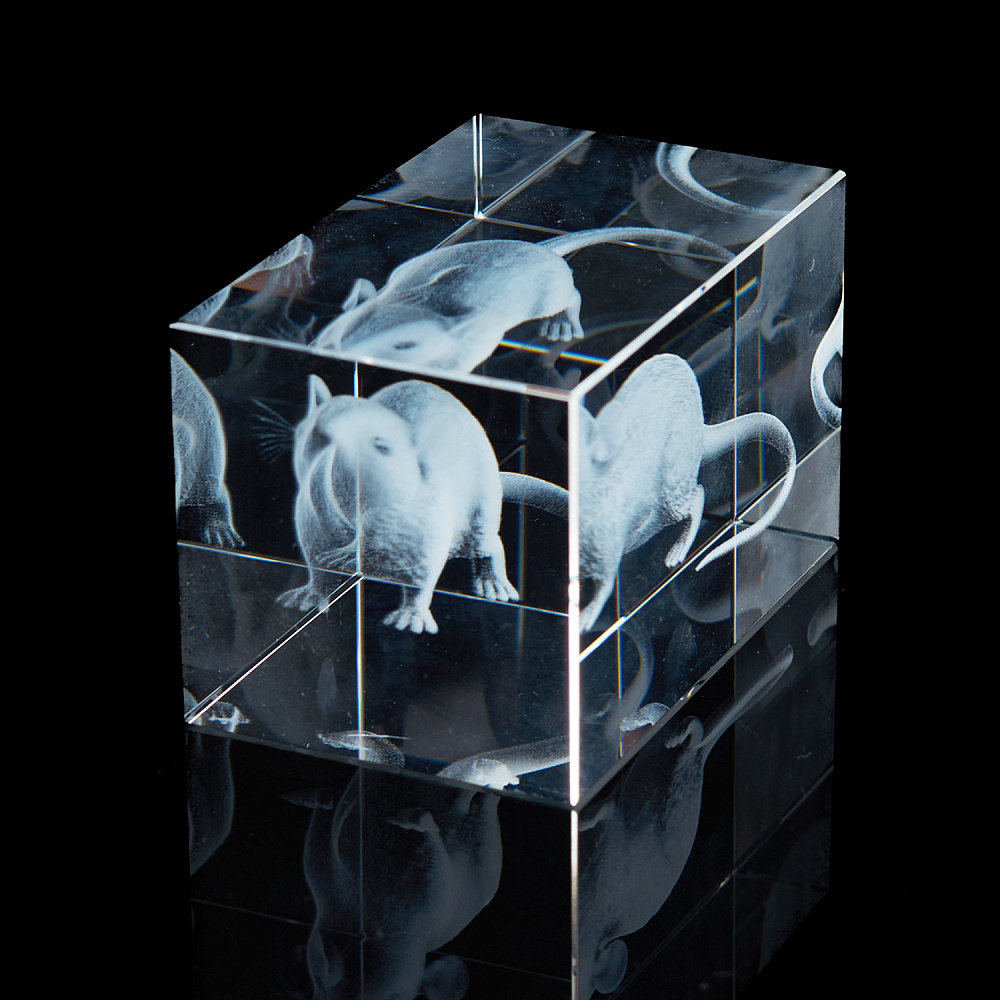 Лазерная графика. Куб «Восточный гороскоп. Крыса» - интернет магазин Русь Велика я фото 1