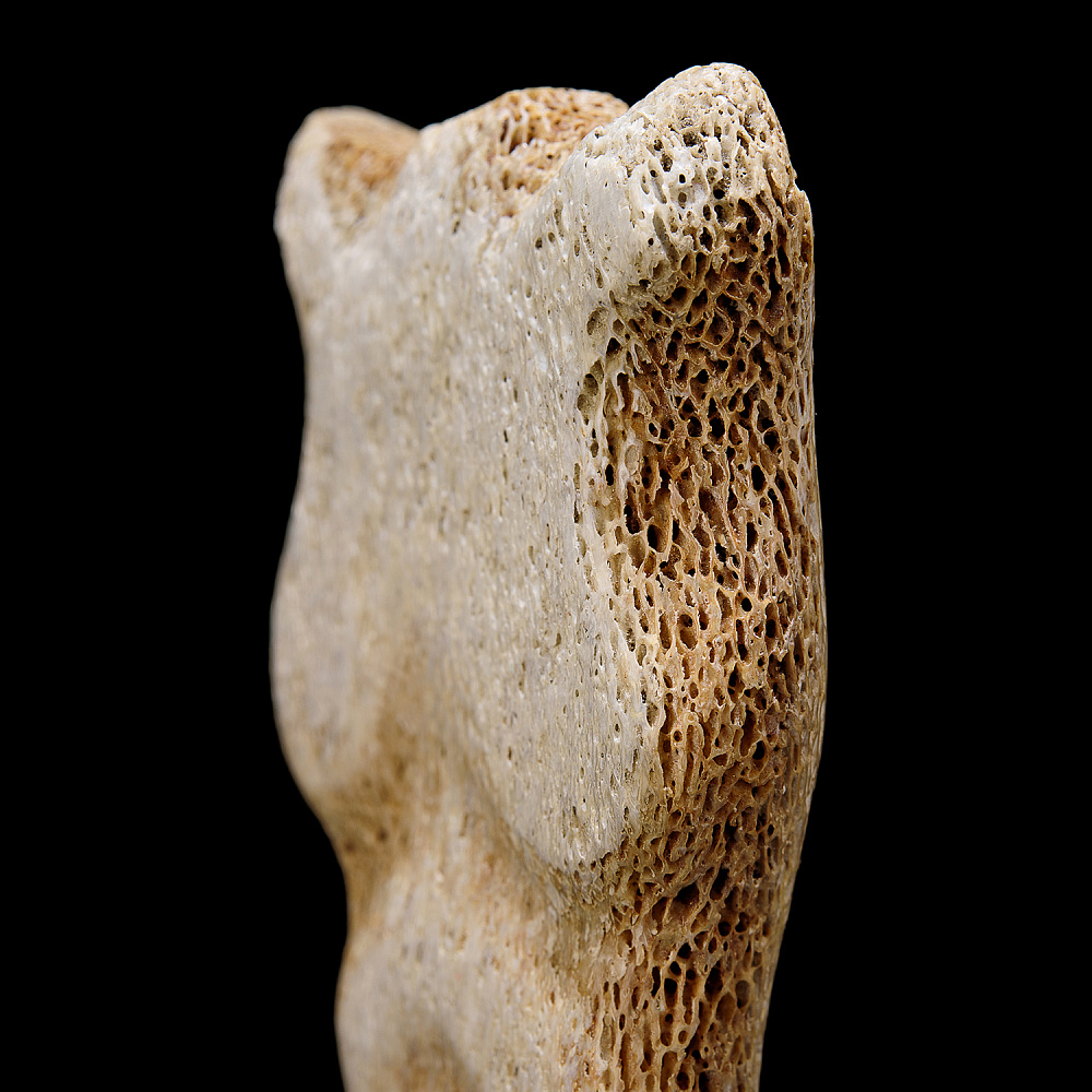 Скульптура из кости кита «Ню» - интернет магазин Русь Велика я фото 6