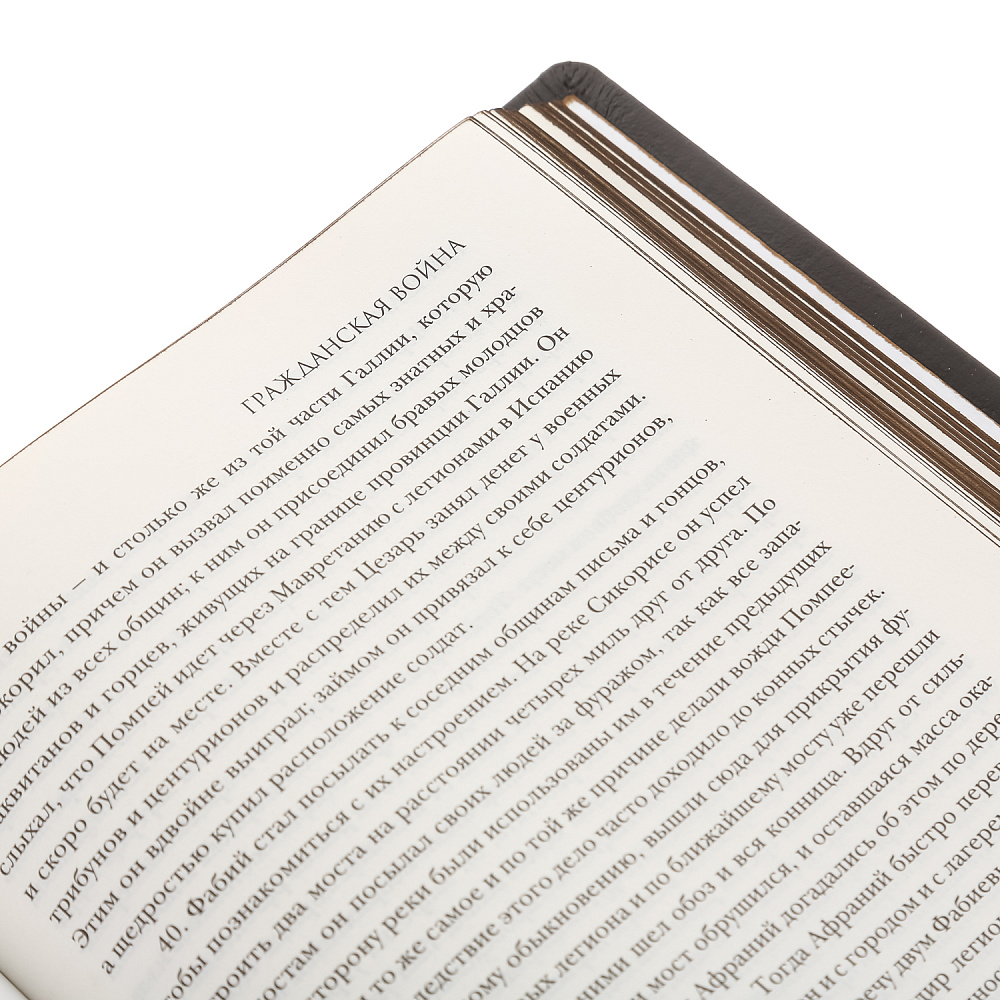 Подарочная книга «Гай Юлий Цезарь. Записки величайшего правителя» - интернет магазин Русь Велика я фото 5
