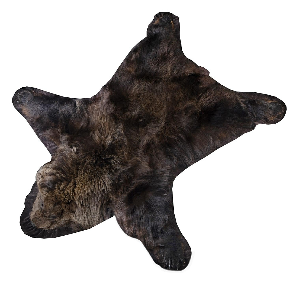Шкура бурого медведя - интернет магазин Русь Велика я 