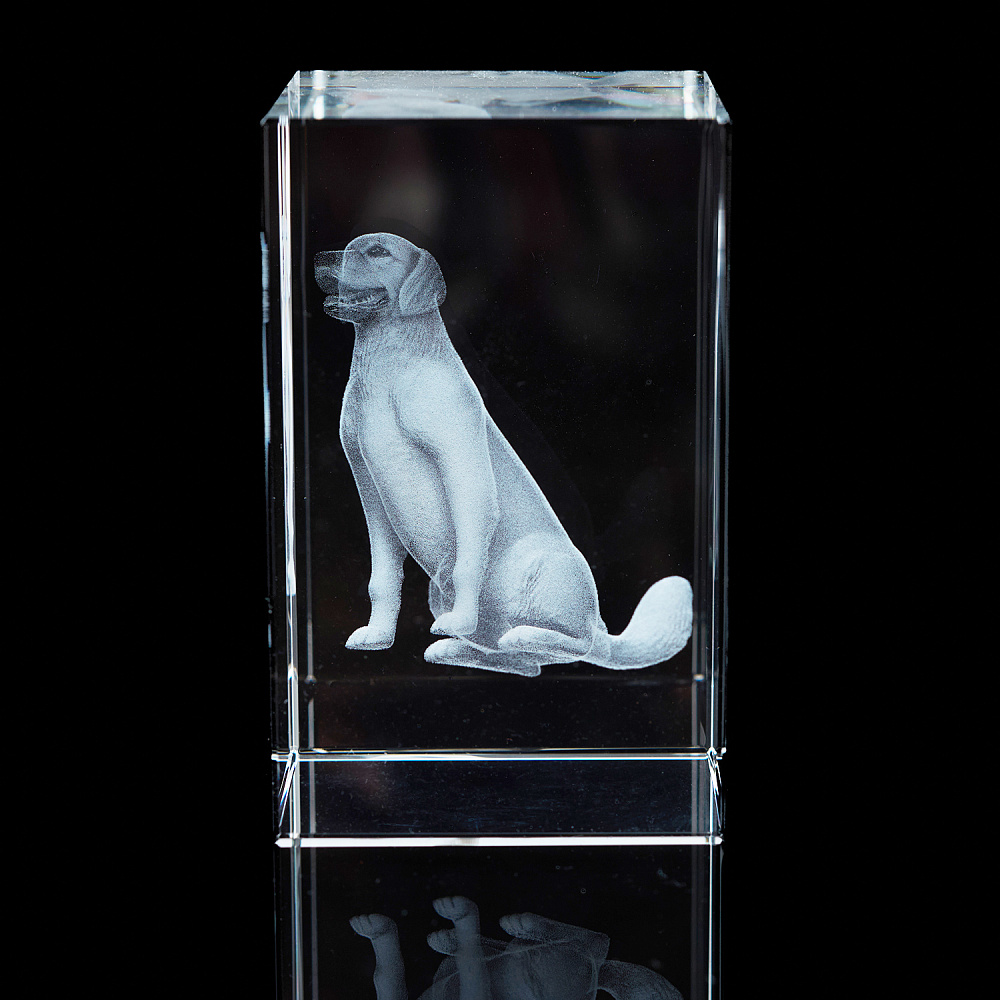 Лазерная графика. Куб «Восточный гороскоп. Собака» - интернет магазин Русь Велика я фото 2