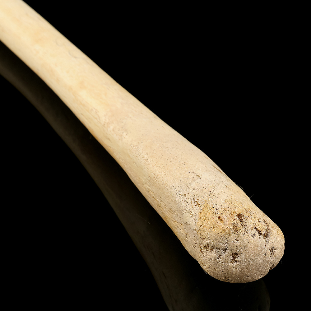 Чукотская булава из кости моржа - интернет магазин Русь Велика я фото 1