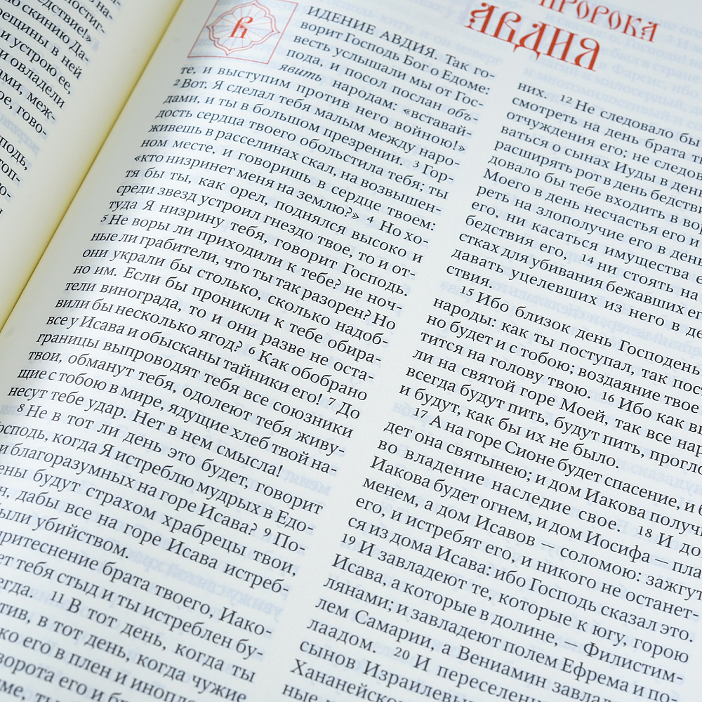 Подарочная книга «Библия». Златоуст - интернет магазин Русь Велика я фото 7