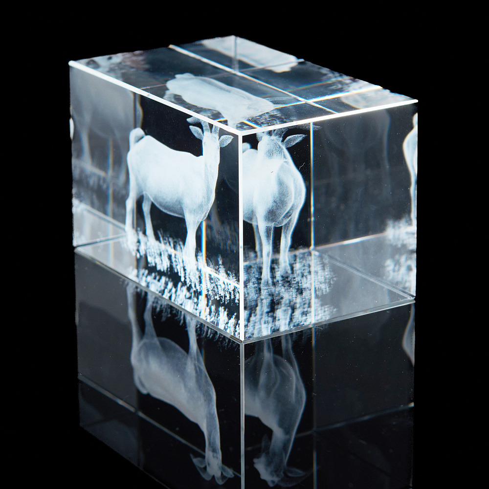 Лазерная графика. Куб «Восточный гороскоп. Коза» - интернет магазин Русь Велика я фото 1