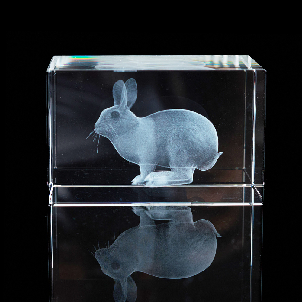 Лазерная графика. Куб «Восточный гороскоп. Кролик» - интернет магазин Русь Велика я фото 2