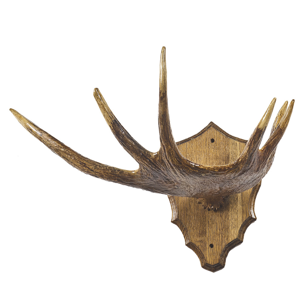 Таксидермия. Рога лося под вешалку на медальоне - интернет магазин Русь Велика я фото 1