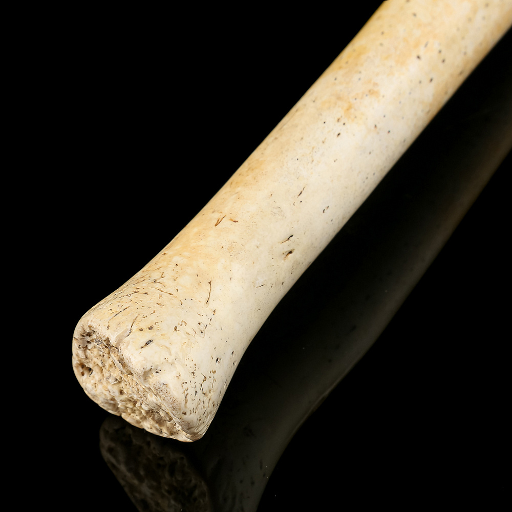 Чукотская булава из кости моржа - интернет магазин Русь Велика я фото 2