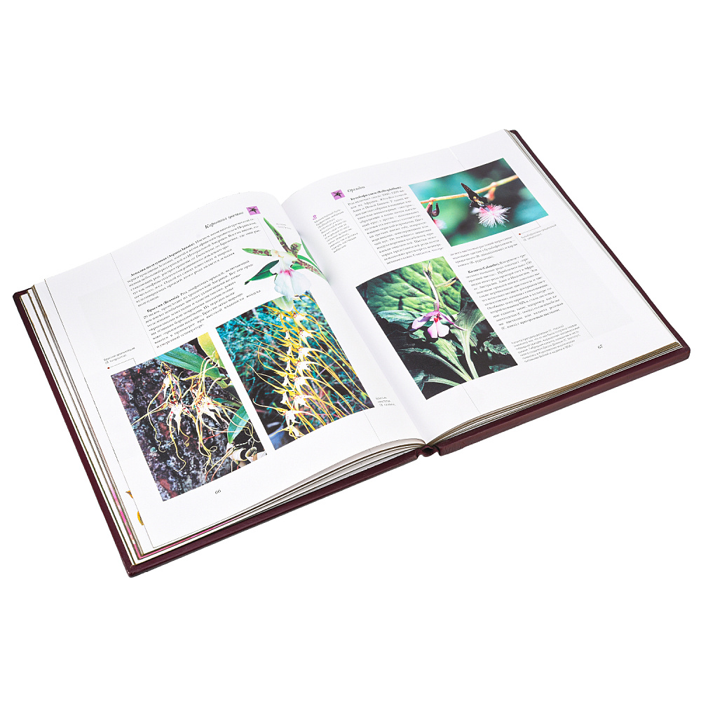 Подарочная книга «Цветы мира» - интернет магазин Русь Велика я фото 2