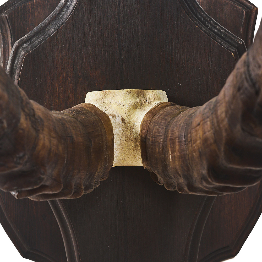 Таксидермия. Рога козерога - интернет магазин Русь Велика я фото 3