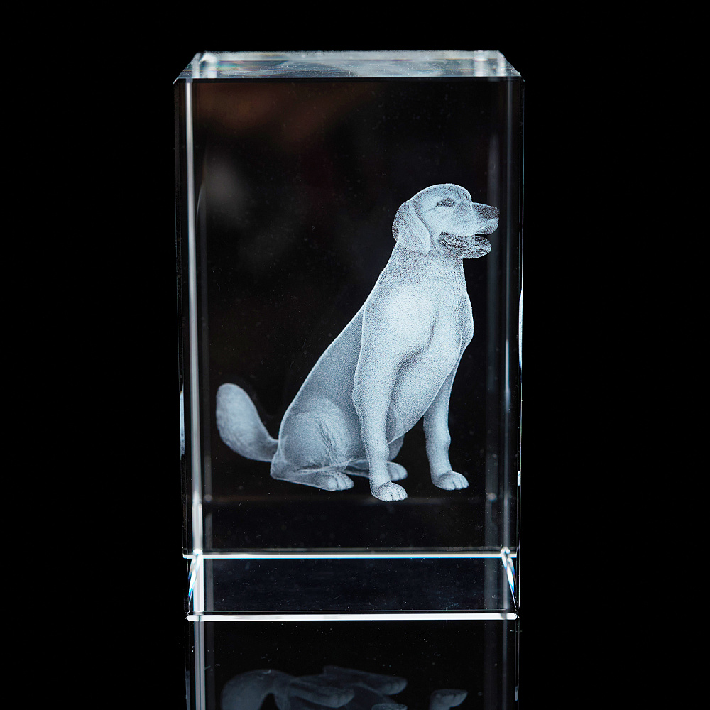 Лазерная графика. Куб «Восточный гороскоп. Собака» - интернет магазин Русь Велика я 