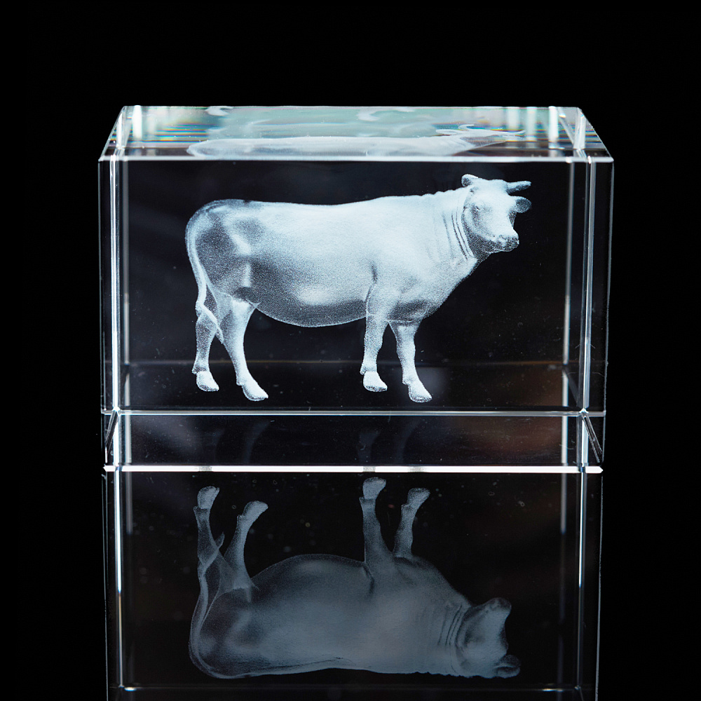 Лазерная графика. Куб «Восточный гороскоп. Бык» - интернет магазин Русь Велика я фото 2