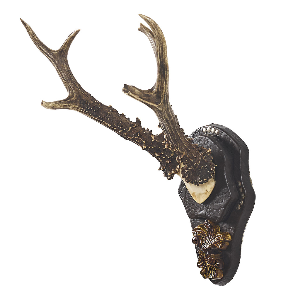 Таксидермия. Рога сибирской косули - интернет магазин Русь Велика я фото 1