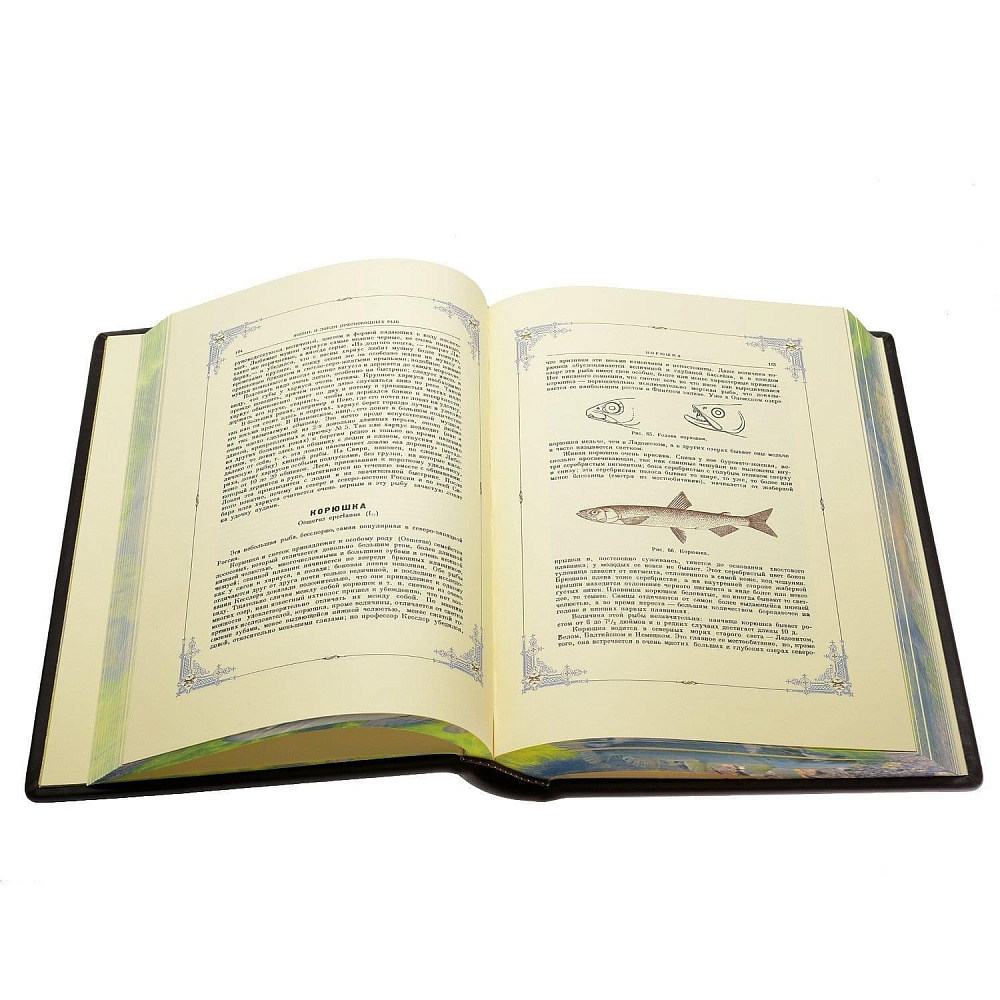 Книга о рыбалке «Жизнь и ловля пресноводных рыб» Сабанеев Л.П. - интернет магазин Русь Велика я фото 1