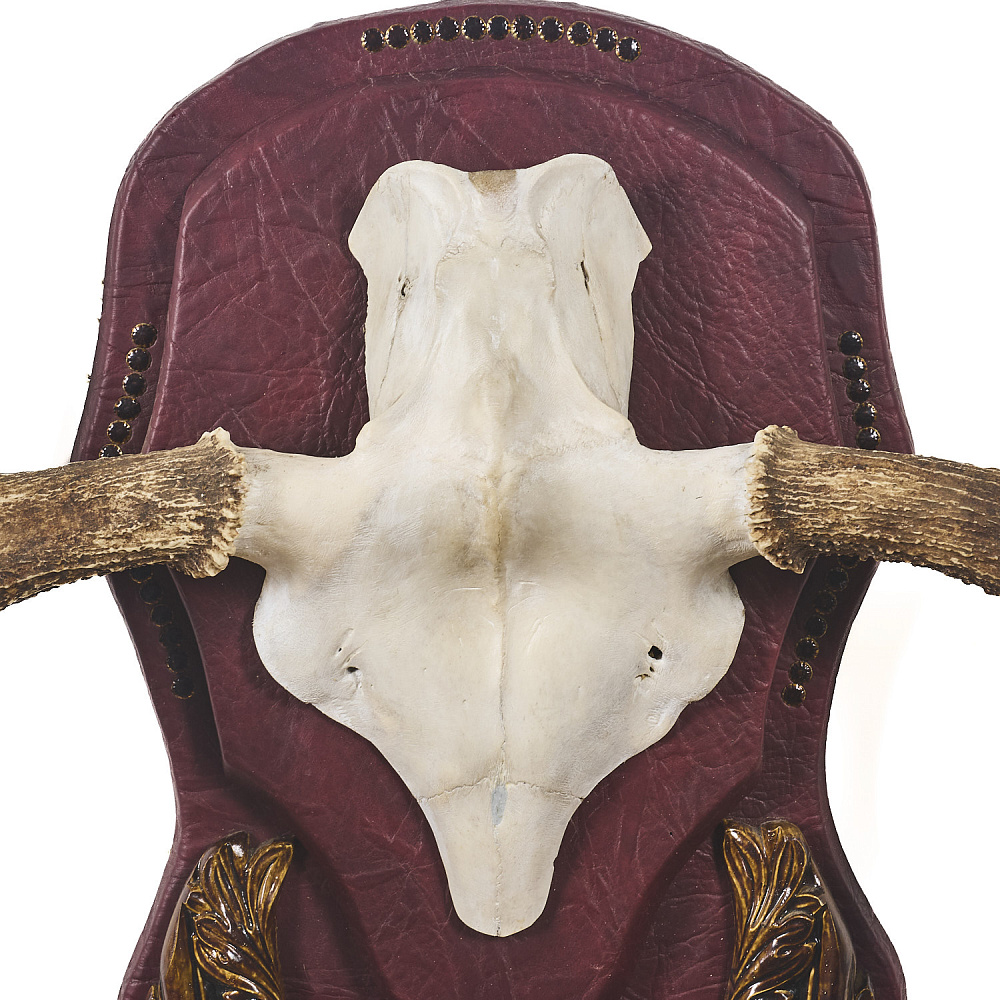 Таксидермия. Рога лося на медальоне - интернет магазин Русь Велика я фото 2