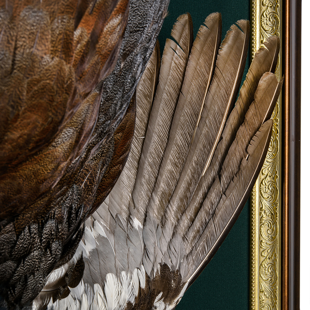 Чучело настенное «Глухариные трофеи» - интернет магазин Русь Велика я фото 6