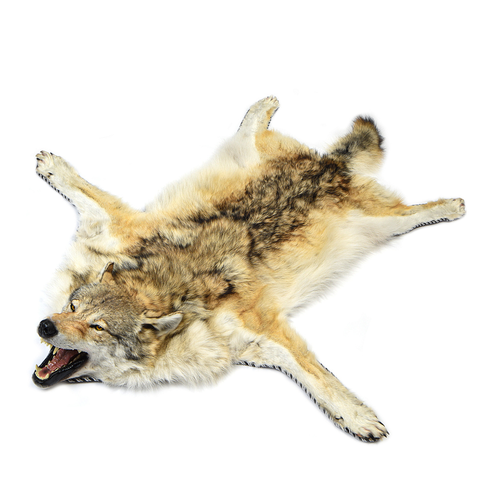 Ковер из шкуры волка - интернет магазин Русь Велика я 