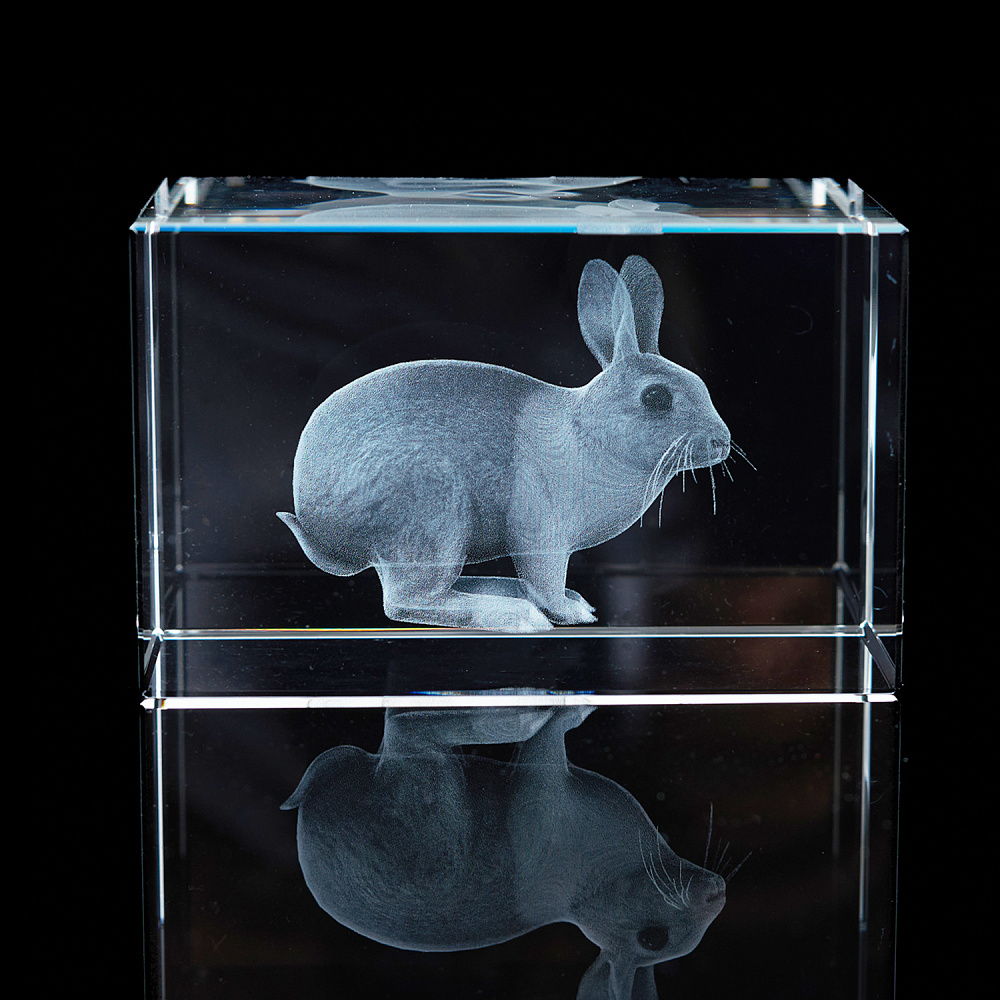 Лазерная графика. Куб «Восточный гороскоп. Кролик» - интернет магазин Русь Велика я 