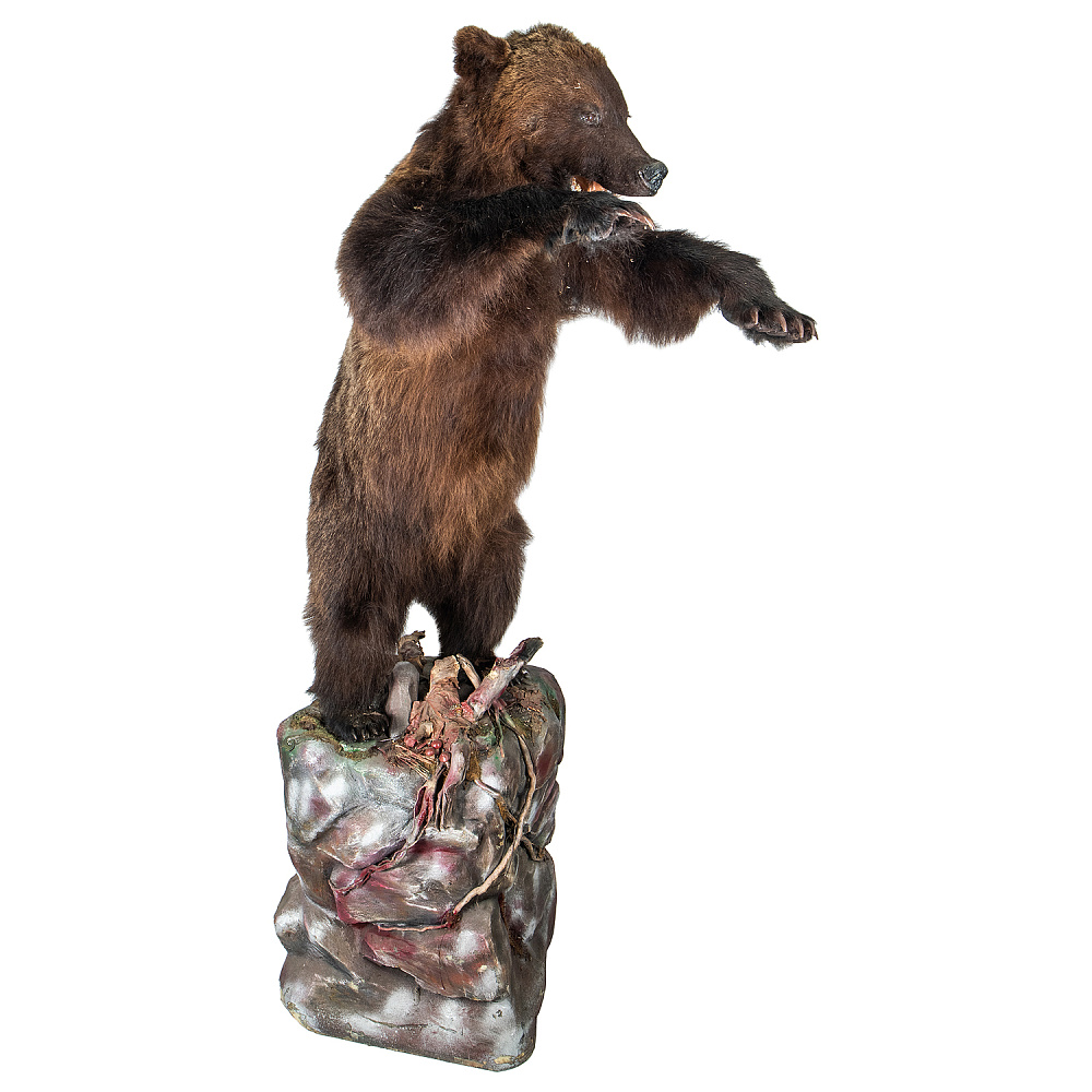 Чучело напольное «Медведь» - интернет магазин Русь Велика я фото 2