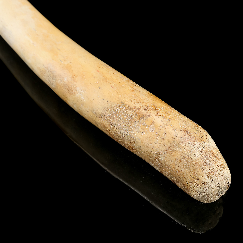 Чукотская булава из кости моржа - интернет магазин Русь Велика я фото 1