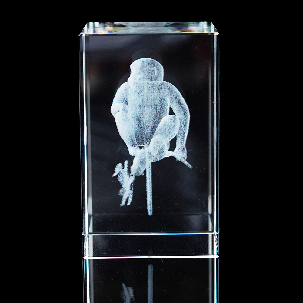 Лазерная графика. Куб «Восточный гороскоп. Обезьяна» - интернет магазин Русь Велика я 