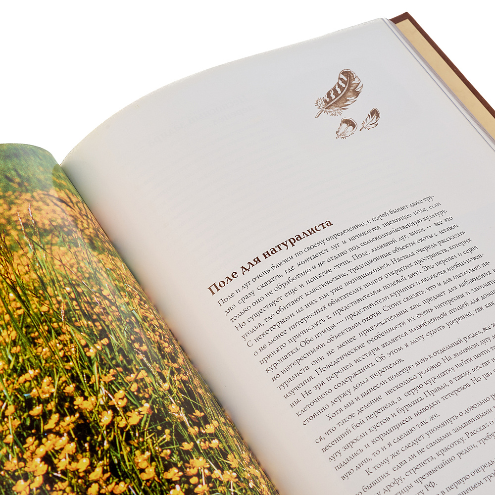 Подарочная книга «Охота по перу» - интернет магазин Русь Велика я фото 4