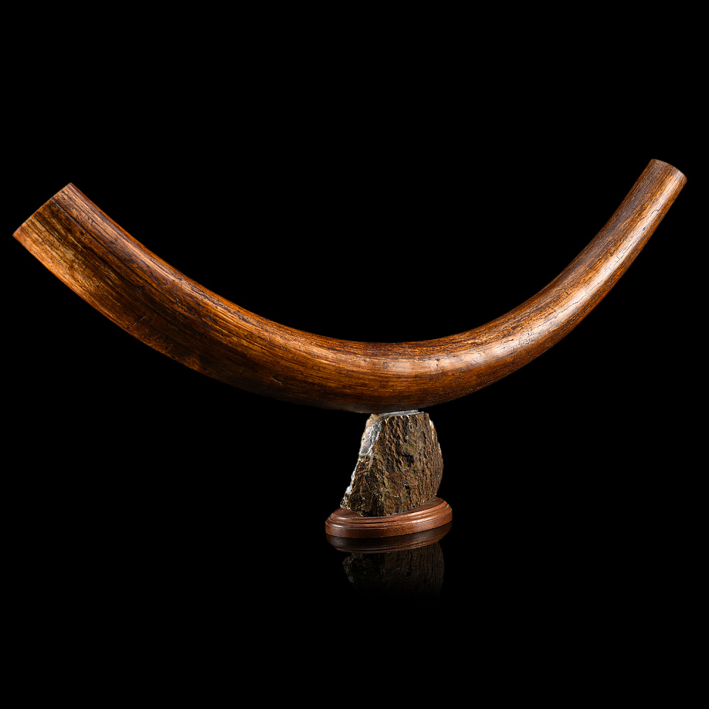 Скульптура из бивня мамонта «Ледниковый период» - интернет магазин Русь Велика я фото 6