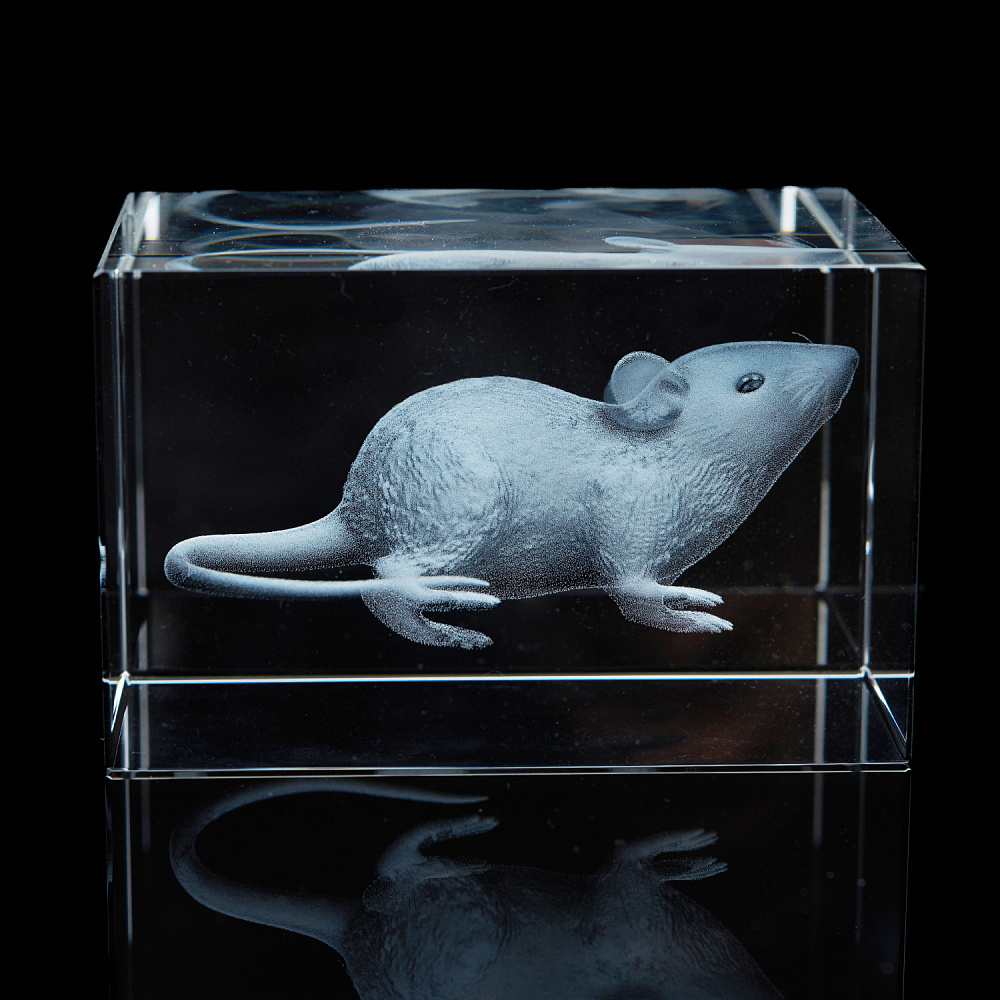 Лазерная графика. Куб «Восточный гороскоп. Крыса» - интернет магазин Русь Велика я фото 3