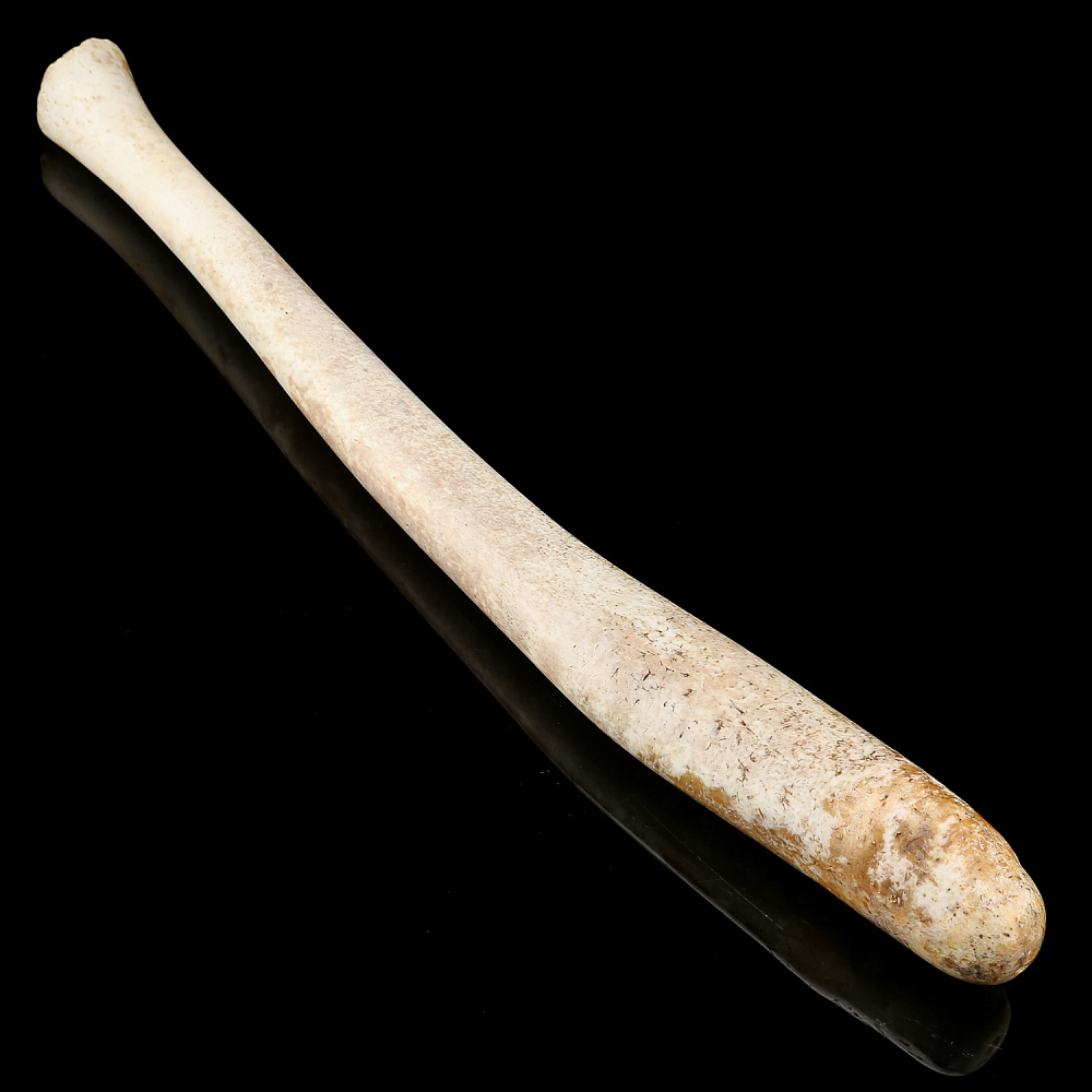 Чукотская булава из кости моржа - интернет магазин Русь Велика я фото 2