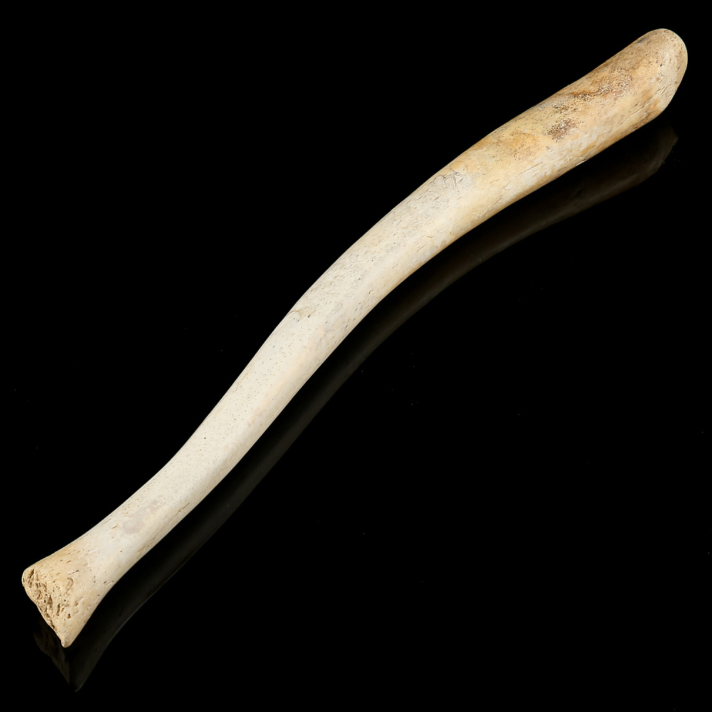 Чукотская булава из кости моржа - интернет магазин Русь Велика я 