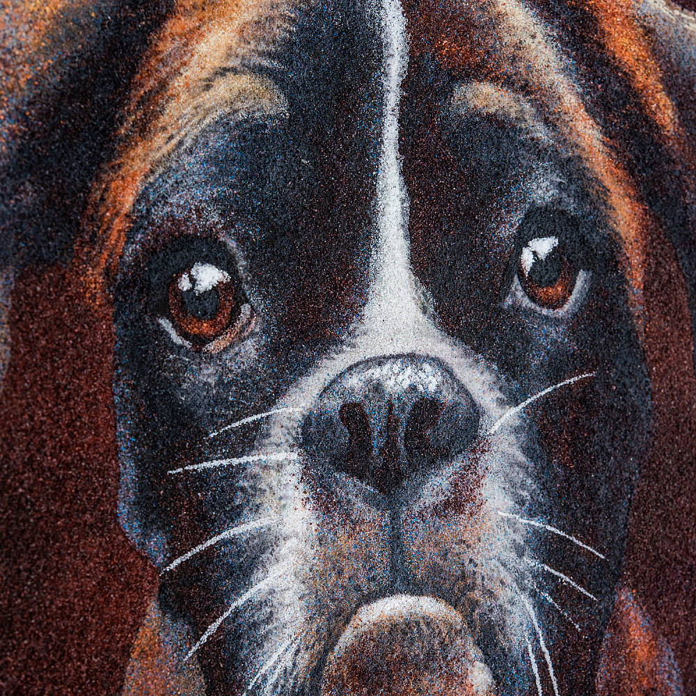 Картина янтарная «Щенок боксера в осеннем лесу» 60х40 см - интернет магазин Русь Велика я фото 6