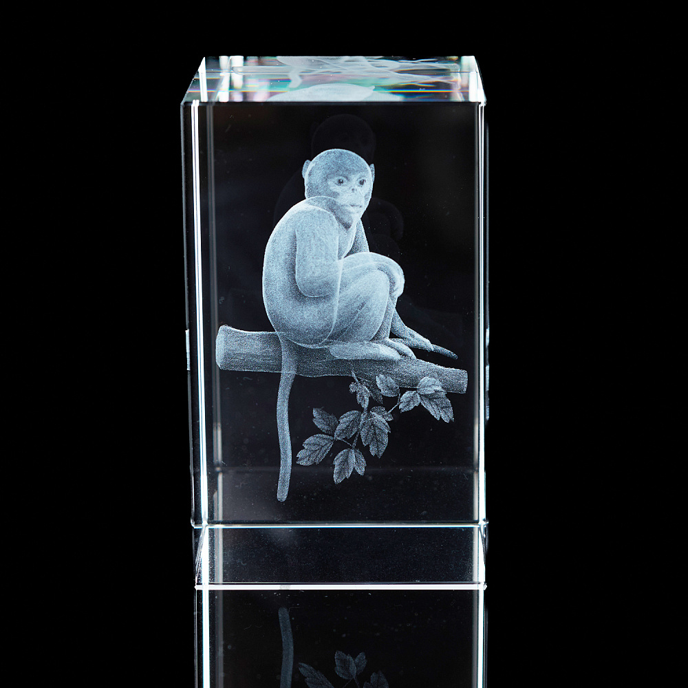 Лазерная графика. Куб «Восточный гороскоп. Обезьяна» - интернет магазин Русь Велика я фото 2