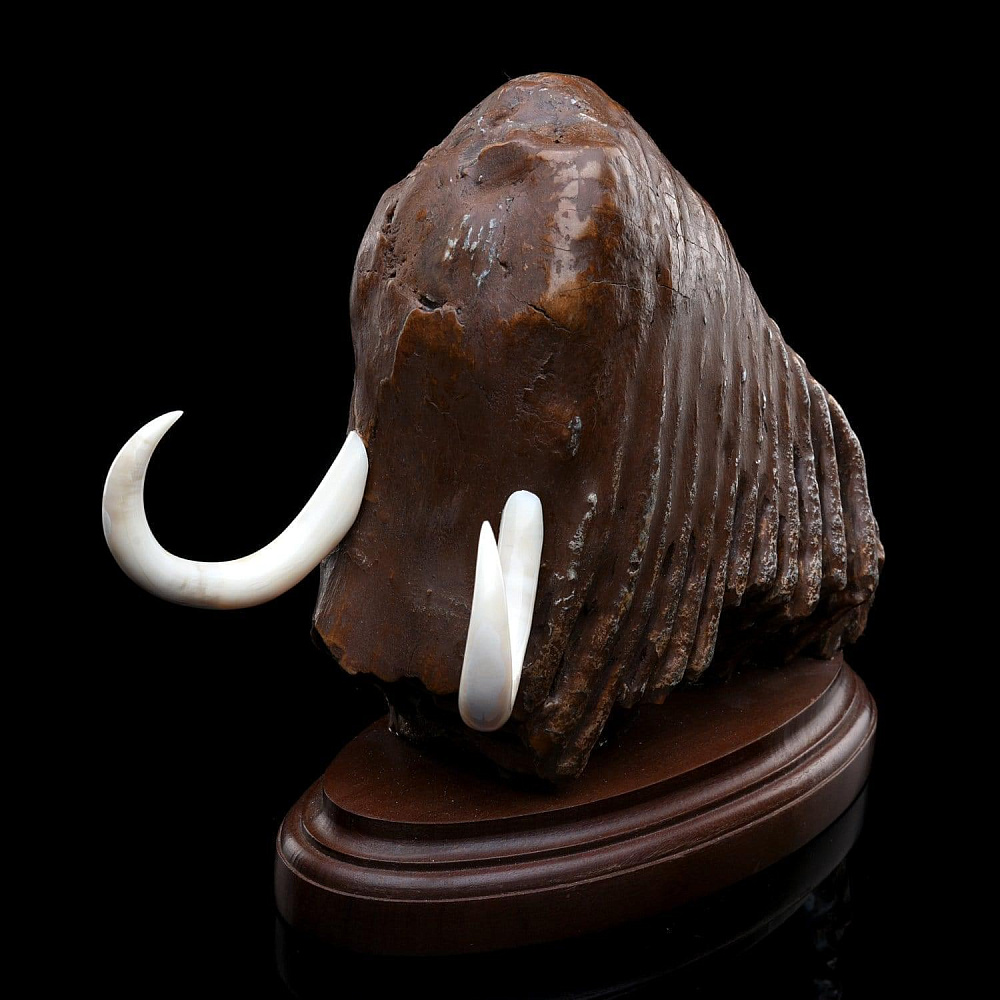 Композиция из зуба мамонта «Мамонт» - интернет магазин Русь Велика я 