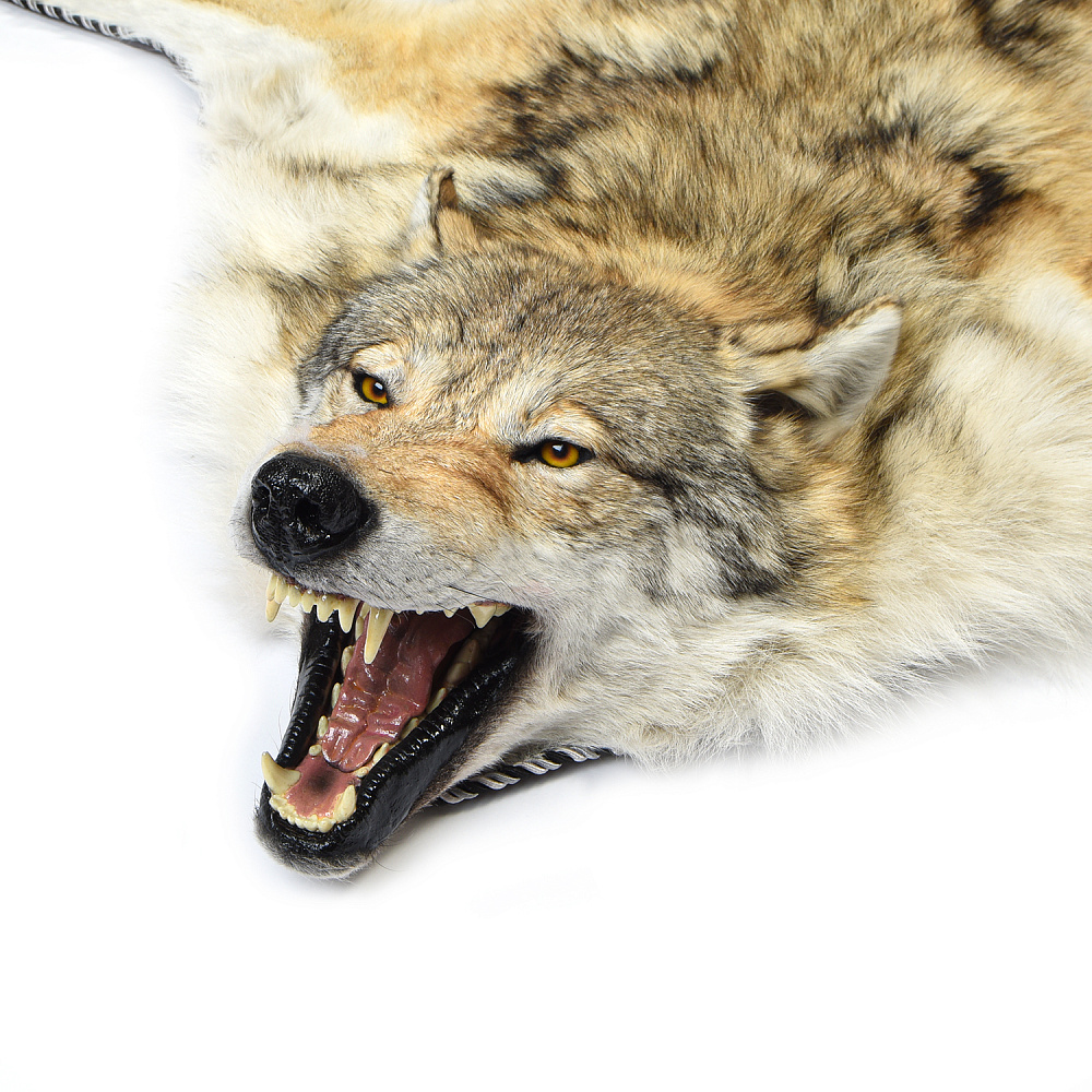 Ковер из шкуры волка - интернет магазин Русь Велика я фото 1