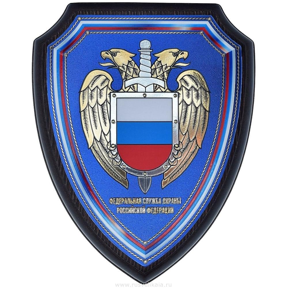 Фсо спецсвязь картинки, черепашкой