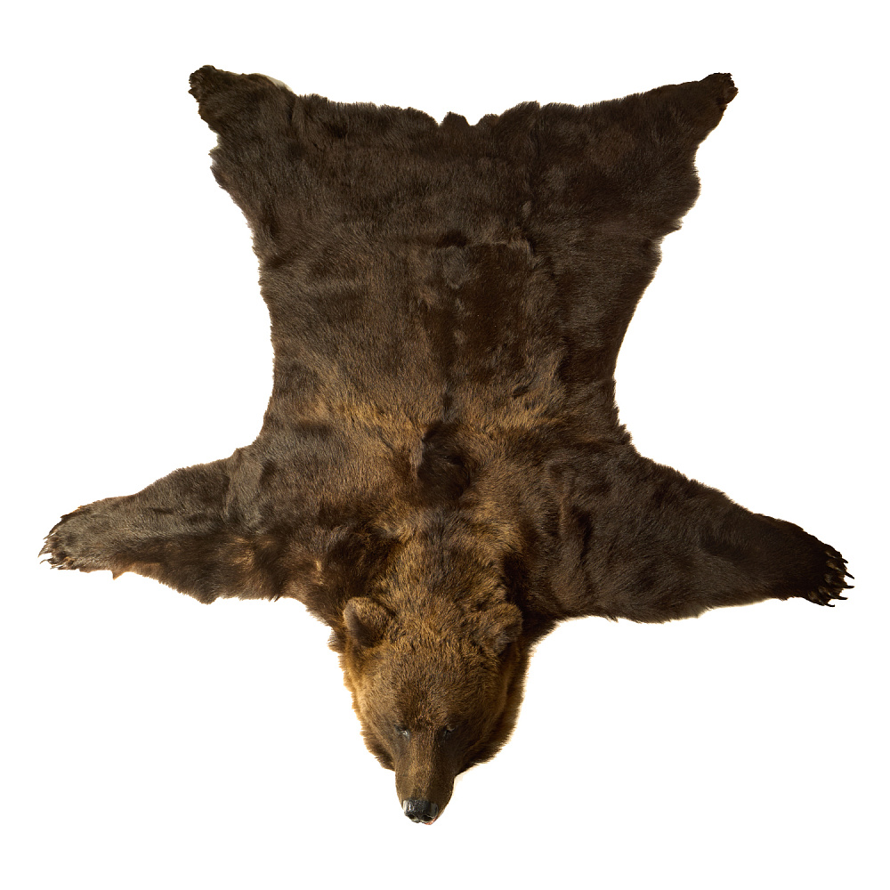 Ковер из шкуры медведя на подкладке - интернет магазин Русь Велика я 