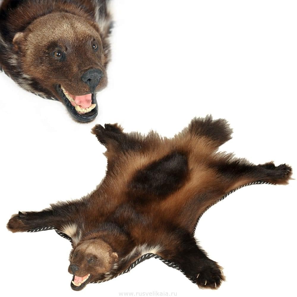 Ковер «Росомаха» - интернет магазин Русь Велика я 