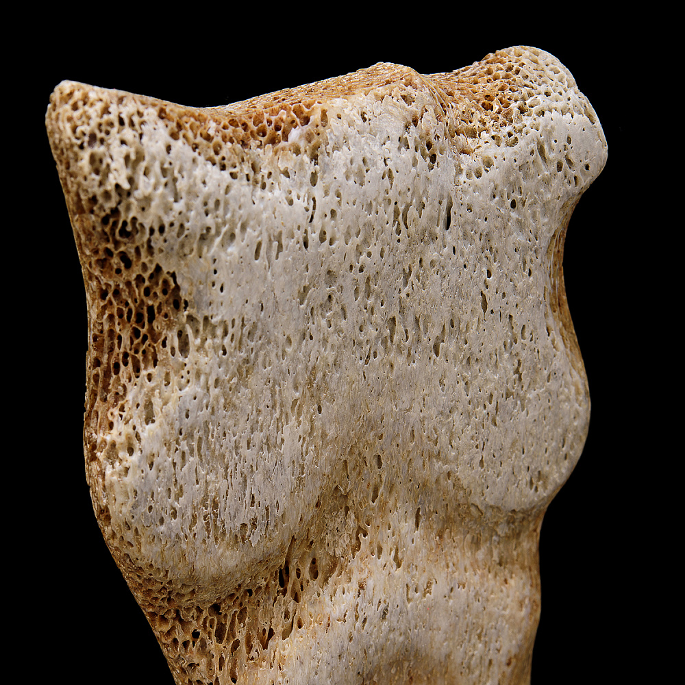 Скульптура из кости кита «Ню» - интернет магазин Русь Велика я фото 4