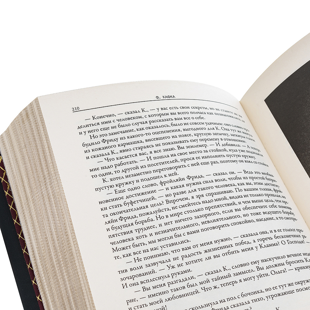Подарочная книга «Франц Кафка. Процесс. Замок» - интернет магазин Русь Велика я фото 3