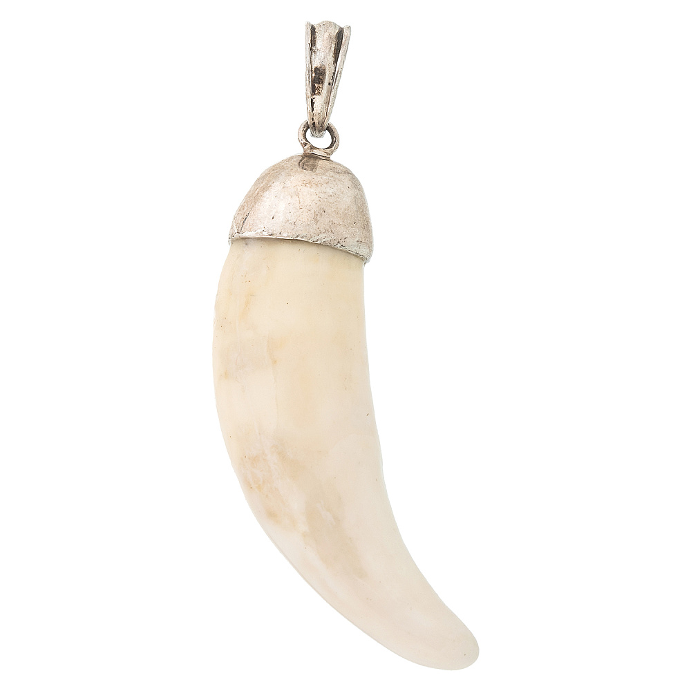 Амулет из клыка волка - интернет магазин Русь Велика я фото 2