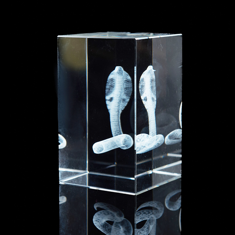 Лазерная графика. Куб «Восточный гороскоп. Змея» - интернет магазин Русь Велика я фото 1