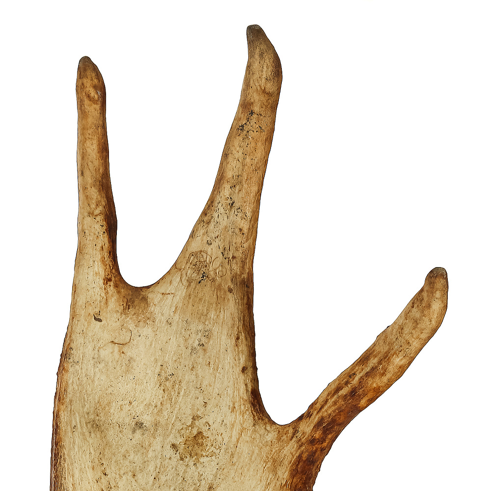 Рога лося на медальоне - интернет магазин Русь Велика я фото 3