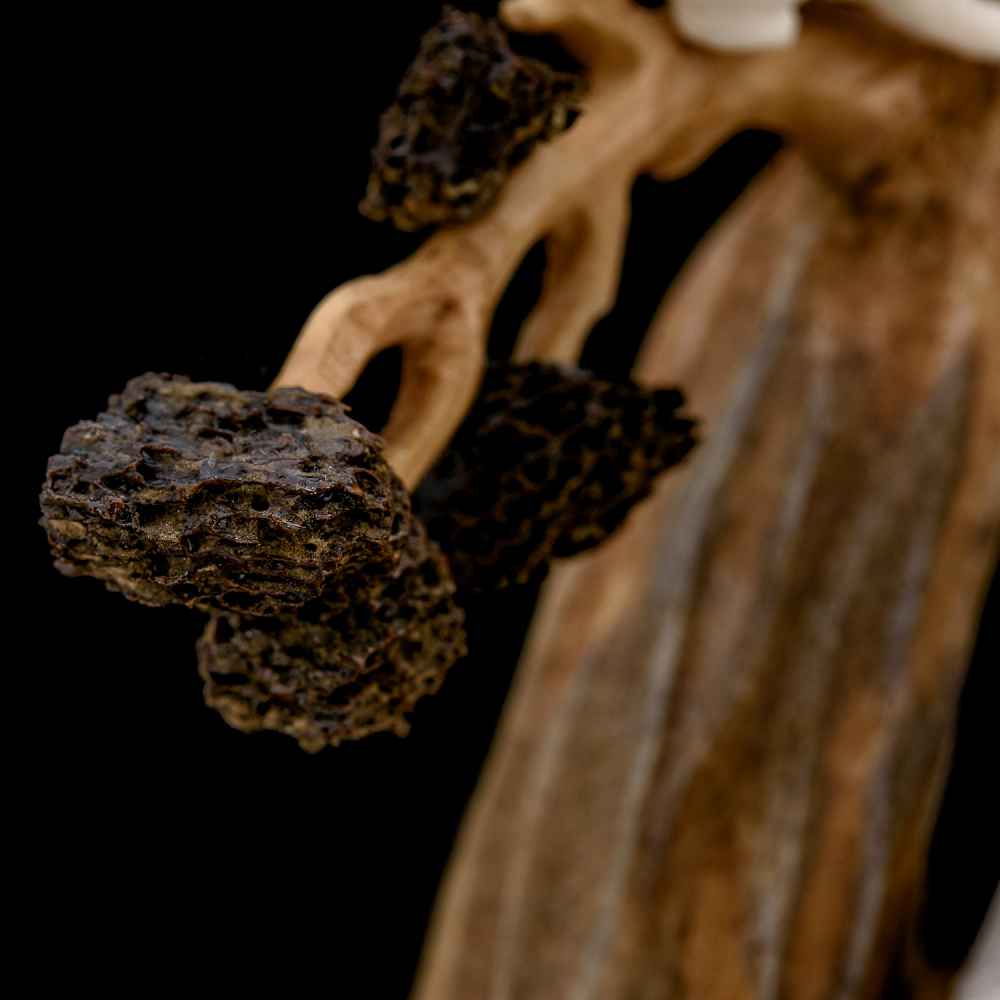 Подставка под ручку со скульптурой из рога лося и кости мамонта «Медведь» - интернет магазин Русь Велика я фото 10