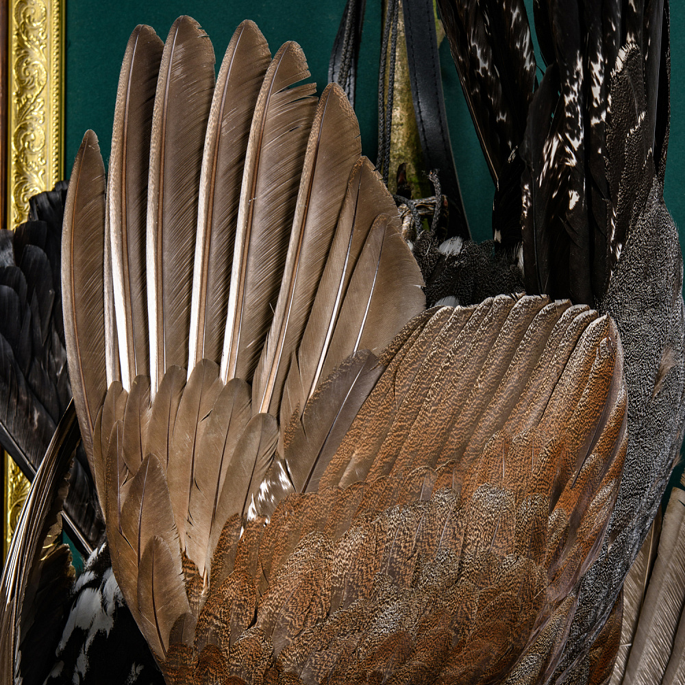 Чучело настенное «Глухариные трофеи» - интернет магазин Русь Велика я фото 5