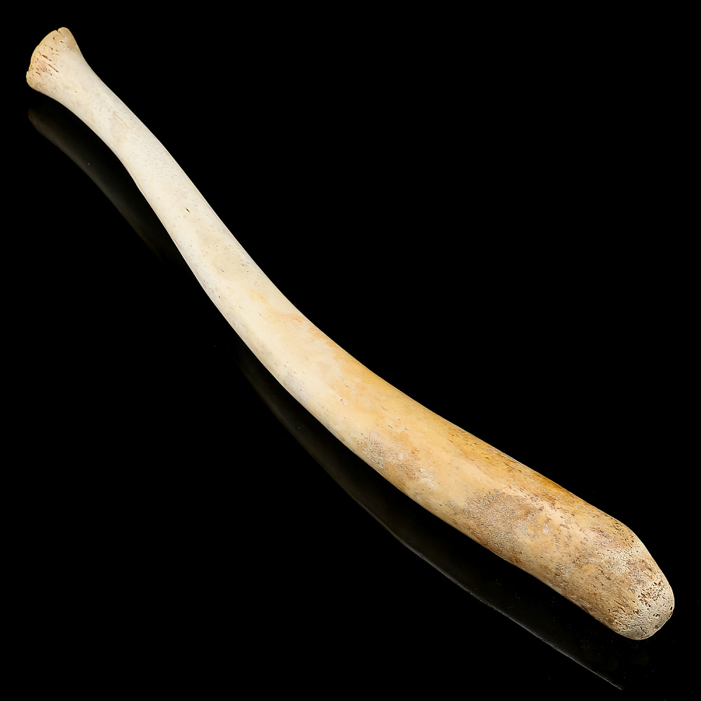 Чукотская булава из кости моржа - интернет магазин Русь Велика я фото 3