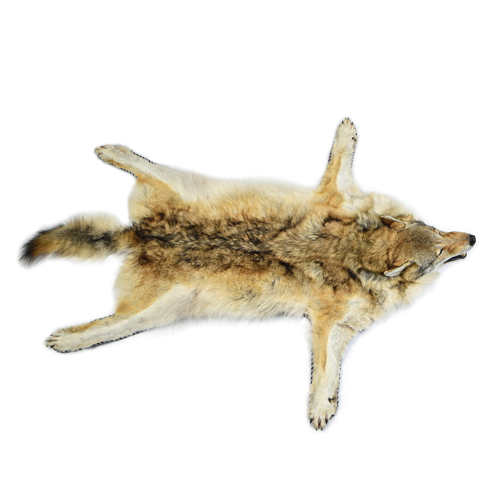 Ковер из шкуры волка - интернет магазин Русь Велика я фото 2