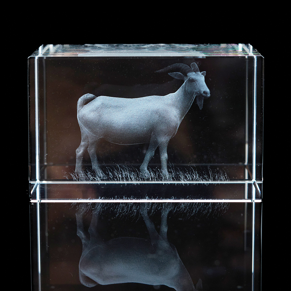 Лазерная графика. Куб «Восточный гороскоп. Коза» - интернет магазин Русь Велика я 