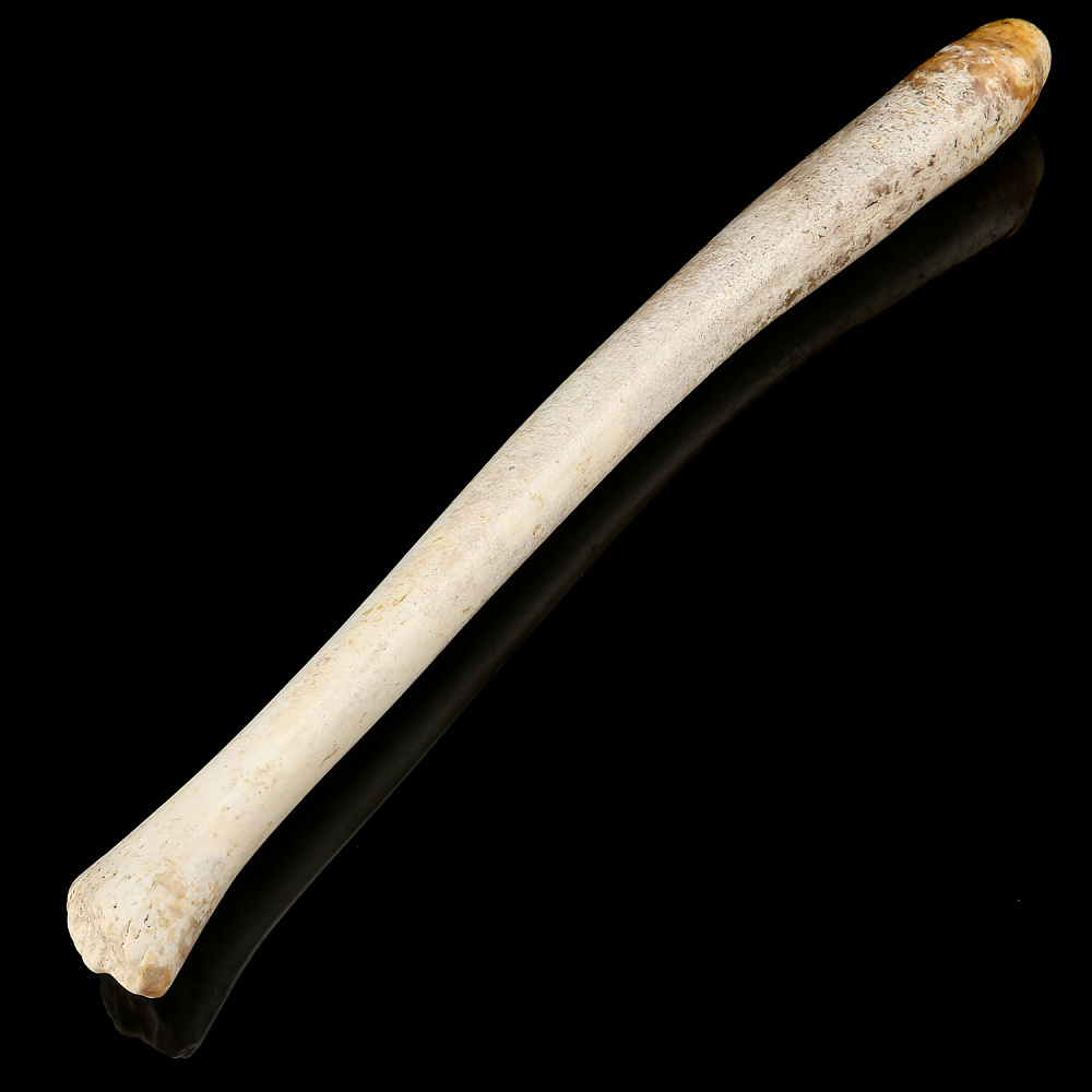 Чукотская булава из кости моржа - интернет магазин Русь Велика я 