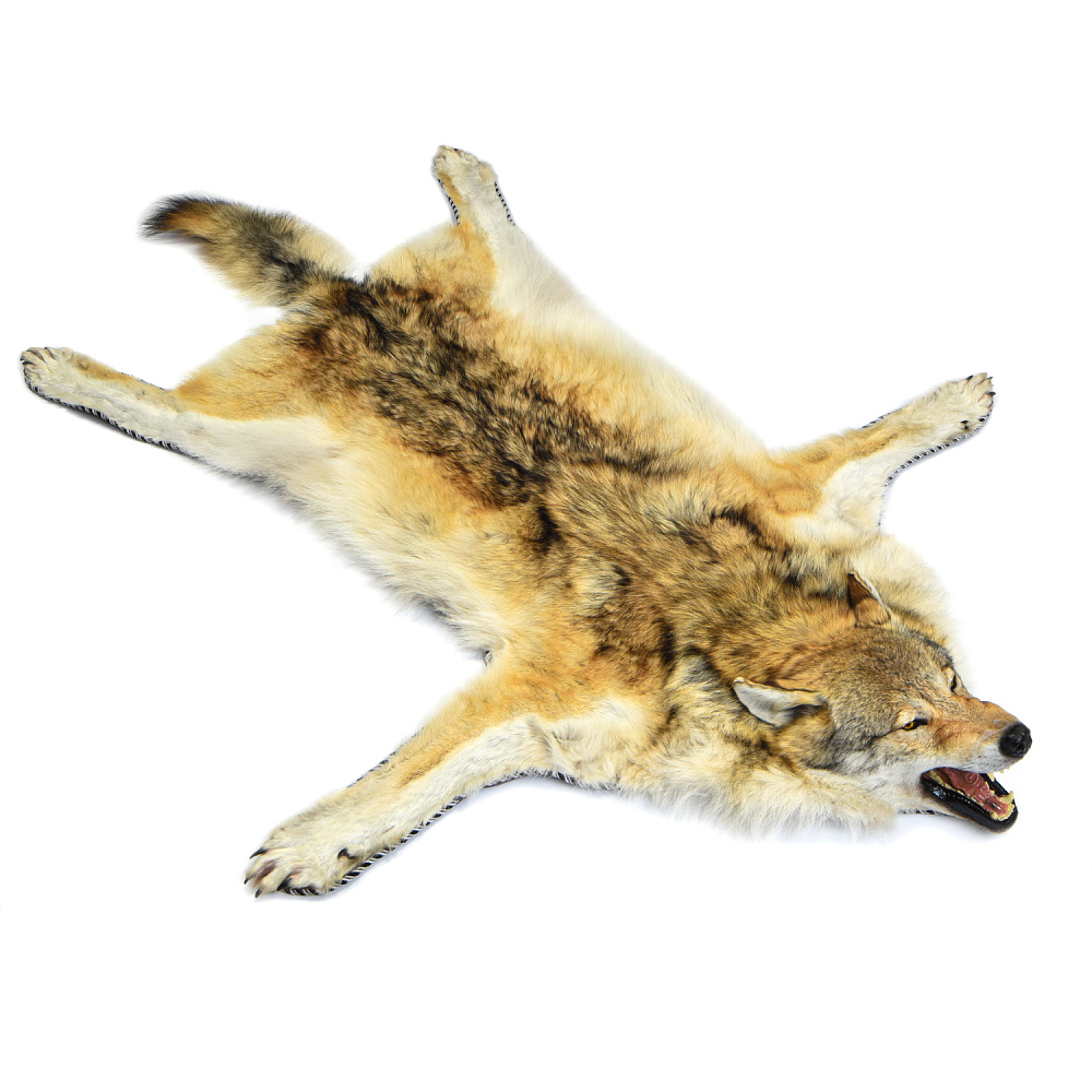 Ковер из шкуры волка - интернет магазин Русь Велика я фото 3