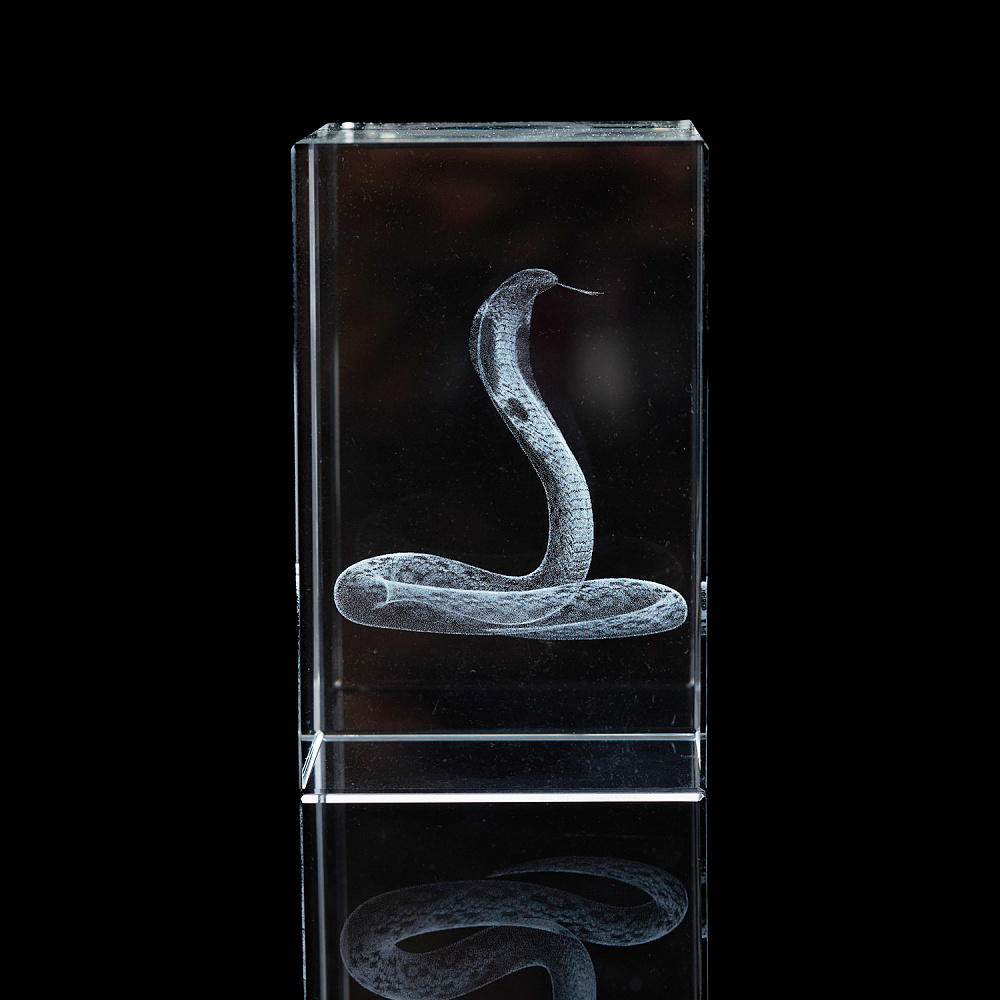 Лазерная графика. Куб «Восточный гороскоп. Змея» - интернет магазин Русь Велика я фото 2