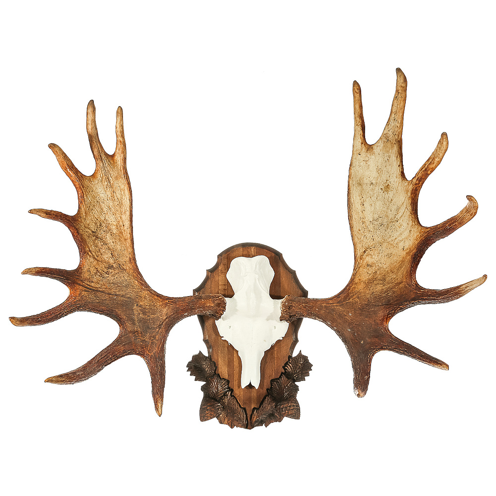 Рога лося на медальоне - интернет магазин Русь Велика я 